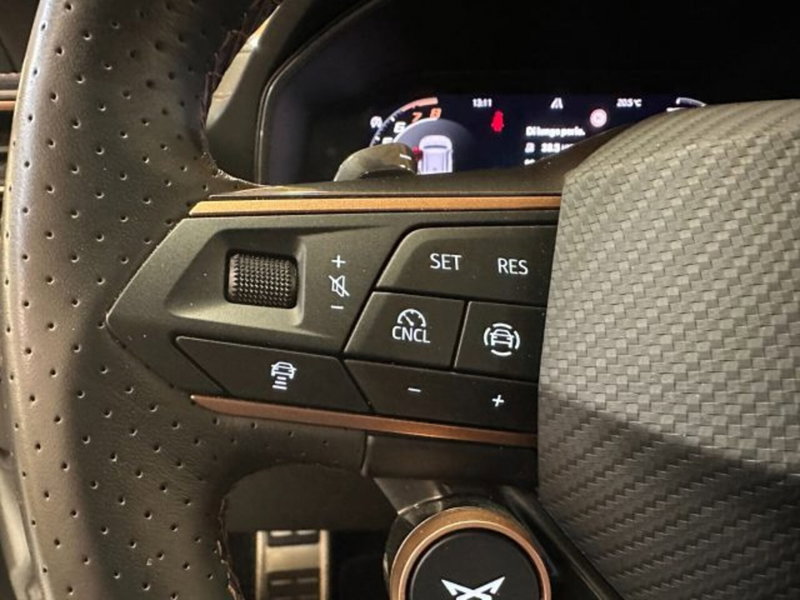 Cupra Formentor usata a Vicenza (12)