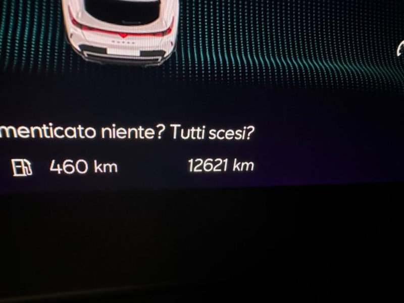 Cupra Formentor usata a Vicenza (13)