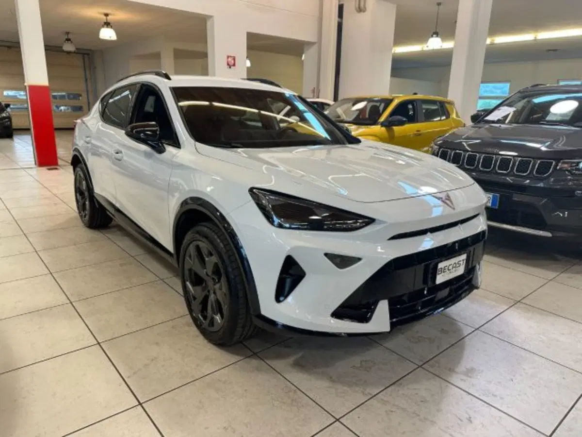 Cupra Formentor usata a Vicenza (2)