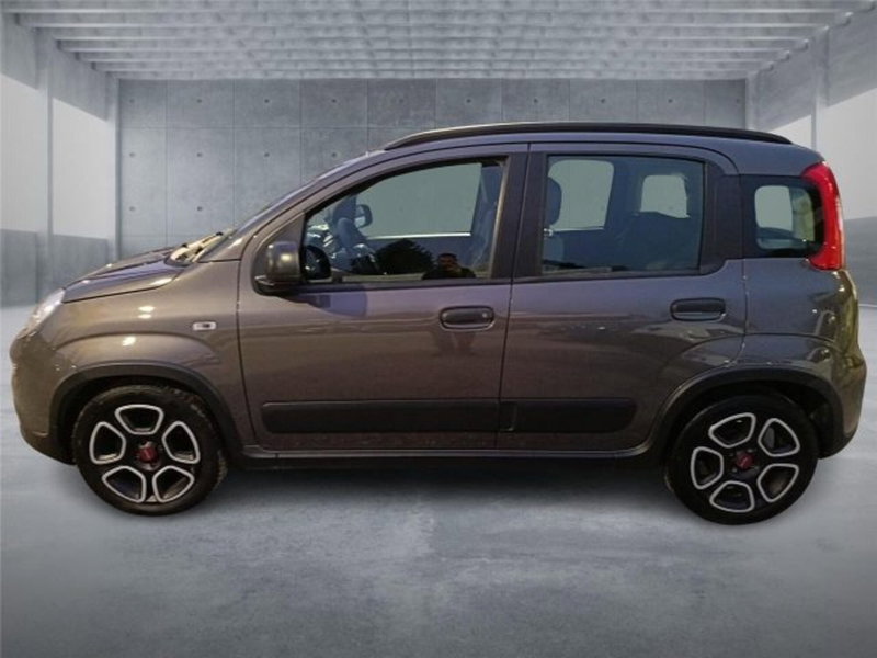 Fiat Panda usata a Bari (7)