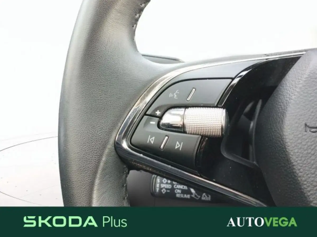 Skoda Kamiq usata a Vicenza (16)