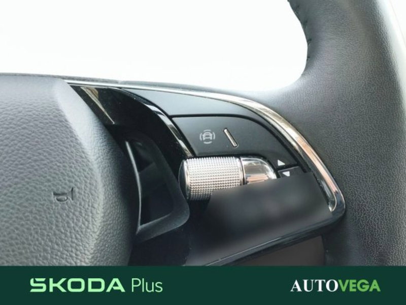 Skoda Kamiq usata a Vicenza (17)