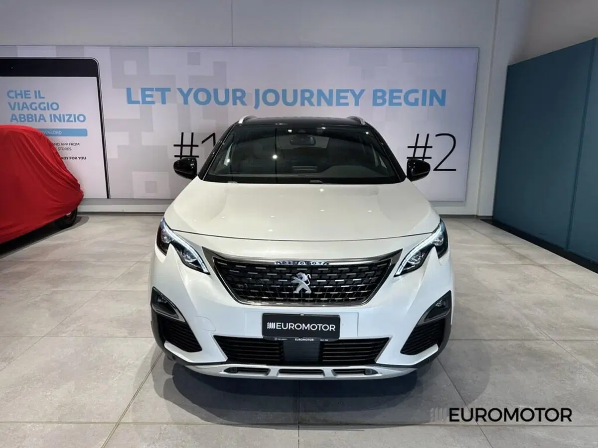 Peugeot 3008 usata a Bari (2)
