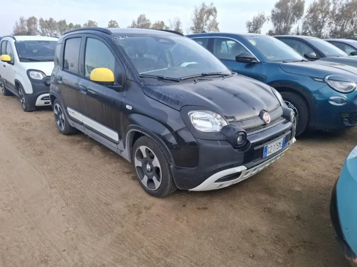 Fiat Panda usata a Perugia