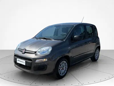 Fiat Panda Cross Cross 1.0 FireFly S&amp;S Hybrid del 2021 usata a Civitanova Marche