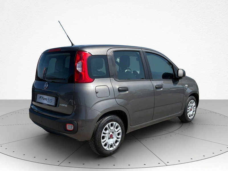 Fiat Panda Cross usata a Macerata (4)