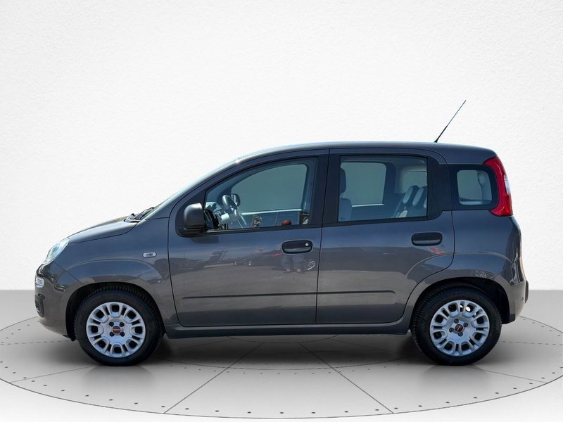 Fiat Panda Cross usata a Macerata (5)