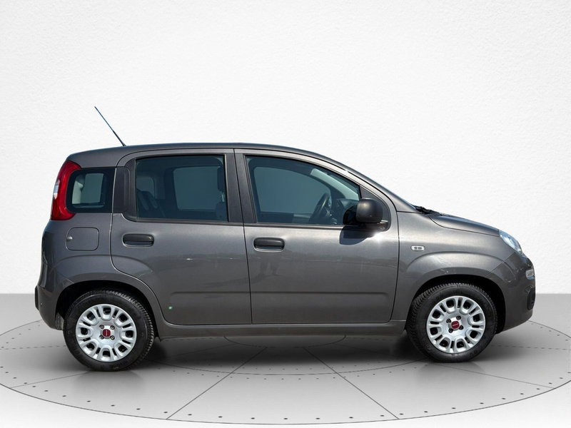 Fiat Panda Cross usata a Macerata (6)