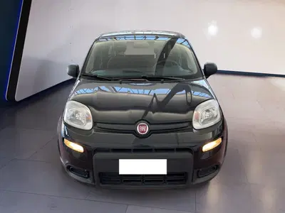 Fiat Panda Cross Cross 1.0 FireFly S&amp;S Hybrid del 2024 usata a Torino