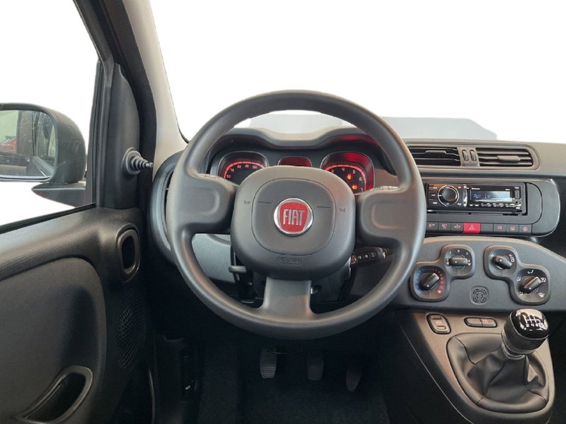 Fiat Panda Cross usata a Torino (10)