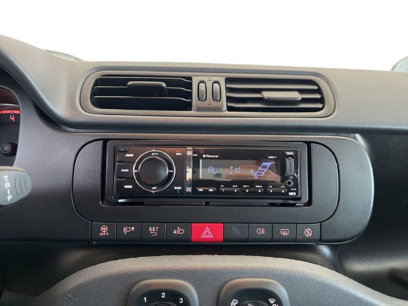 Fiat Panda Cross usata a Torino (11)