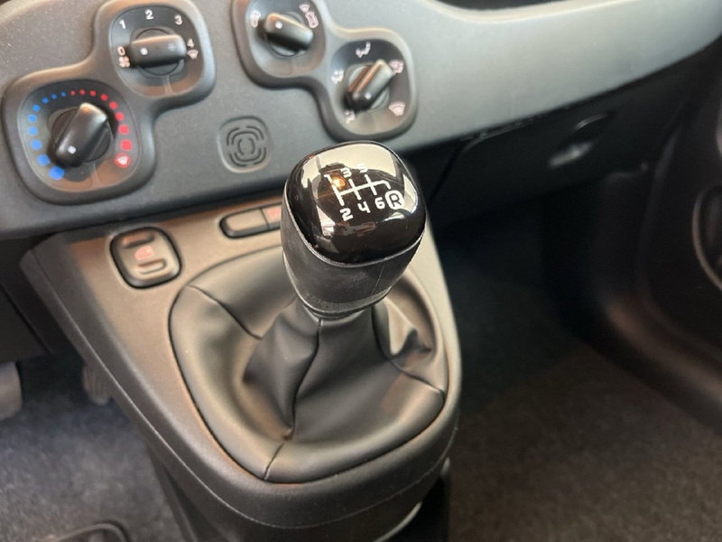 Fiat Panda Cross usata a Torino (12)