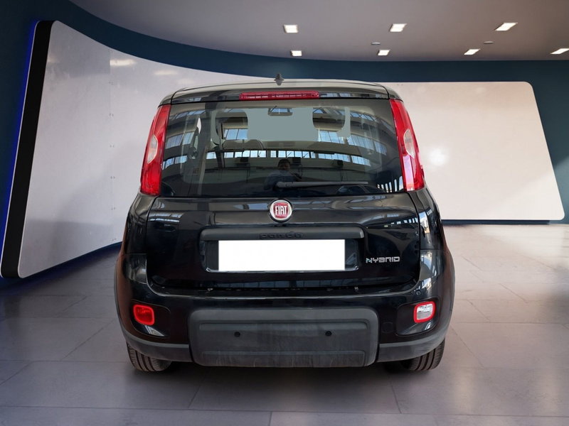 Fiat Panda Cross usata a Torino (5)