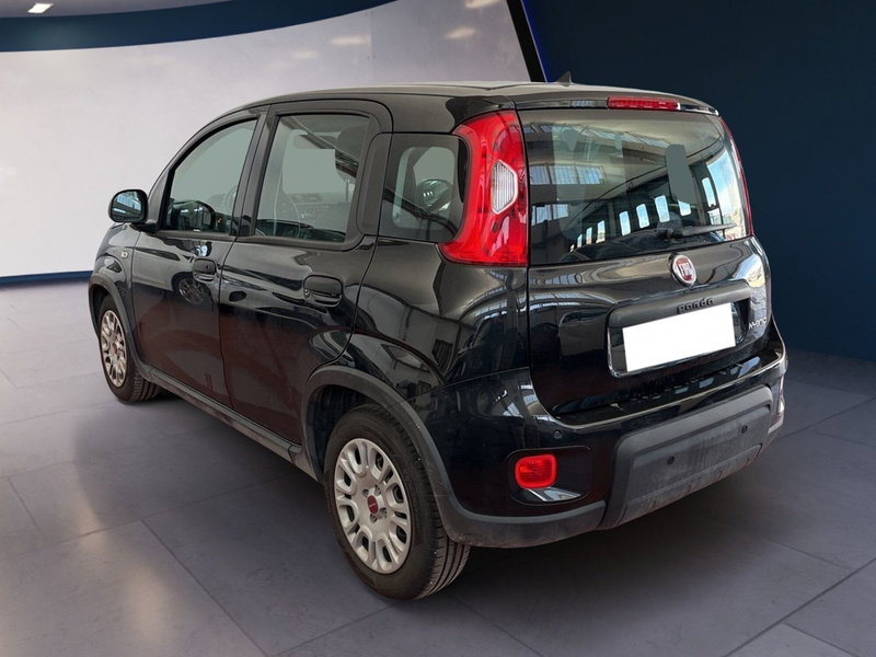 Fiat Panda Cross usata a Torino (6)