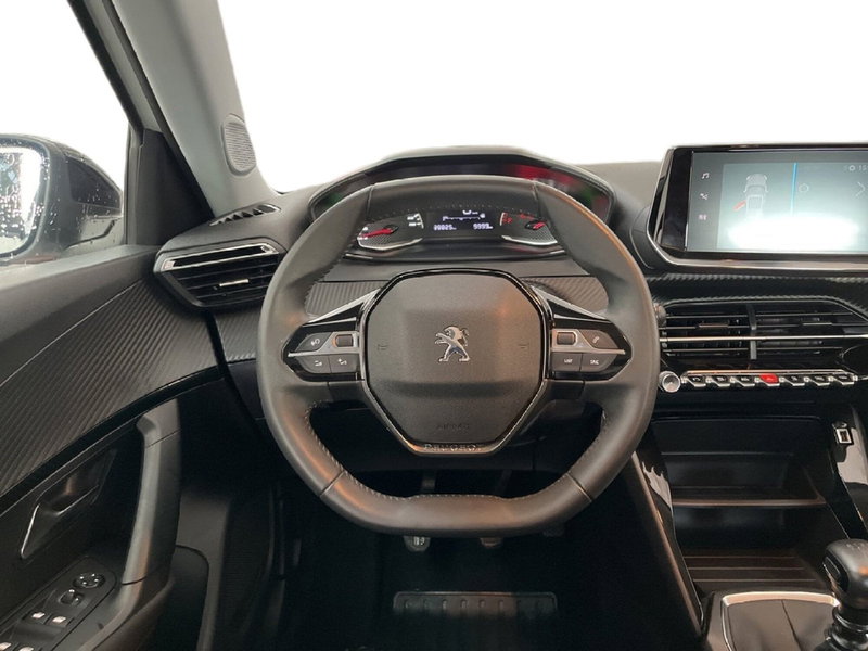 Peugeot 2008 usata a Torino (11)