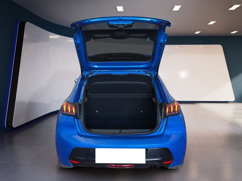 Peugeot 208 usata a Torino (8)