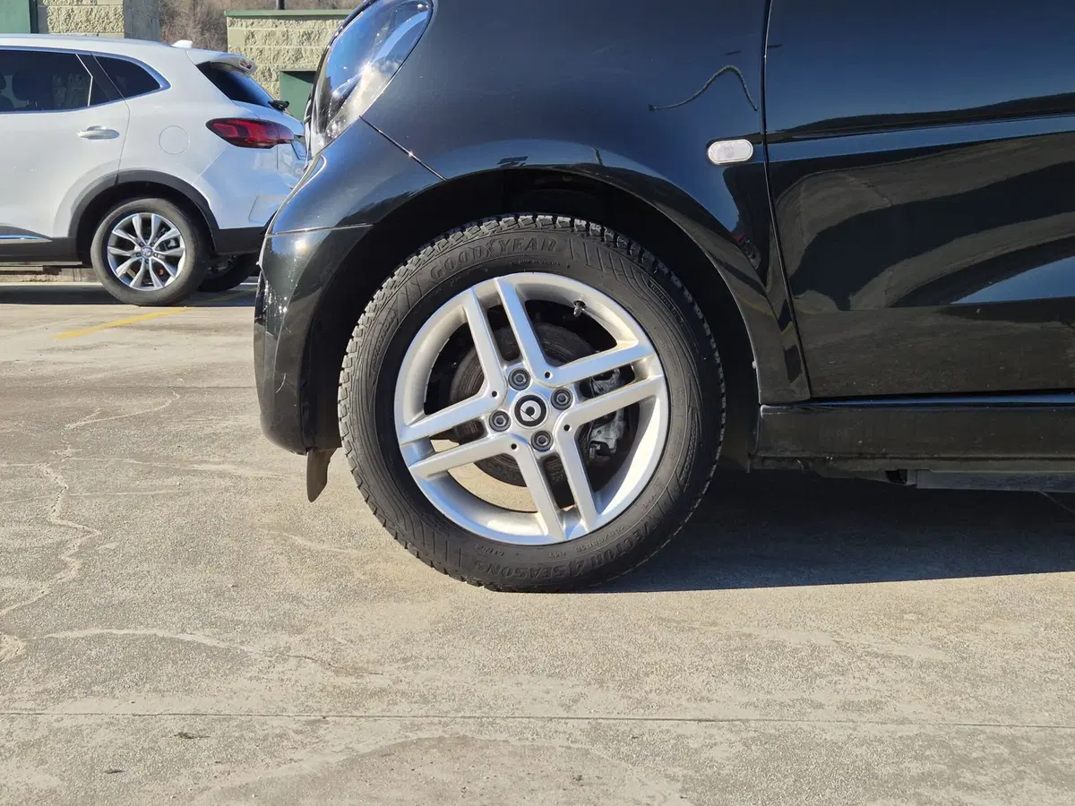 smart Fortwo usata  (11)