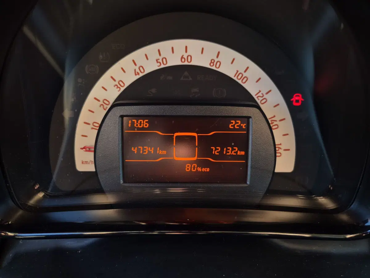 smart Fortwo usata  (12)
