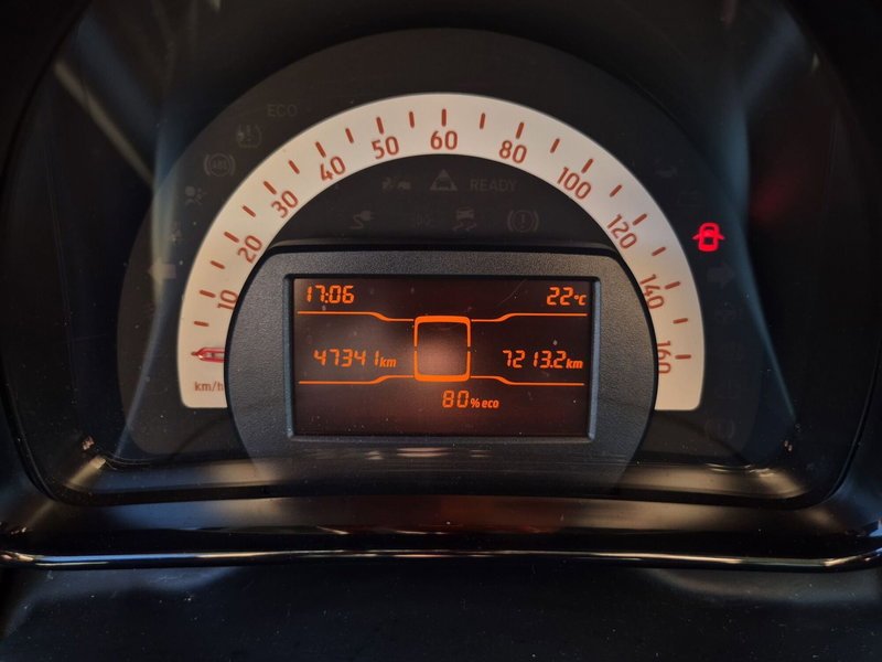 smart Fortwo usata  (12)