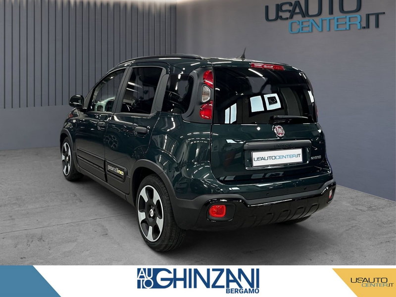 Fiat Panda Cross usata a Bergamo (3)