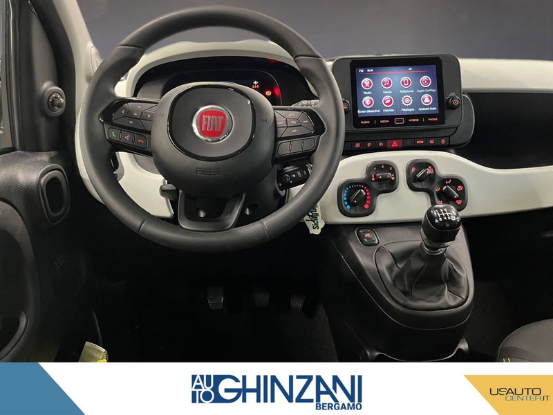 Fiat Panda Cross usata a Bergamo (7)