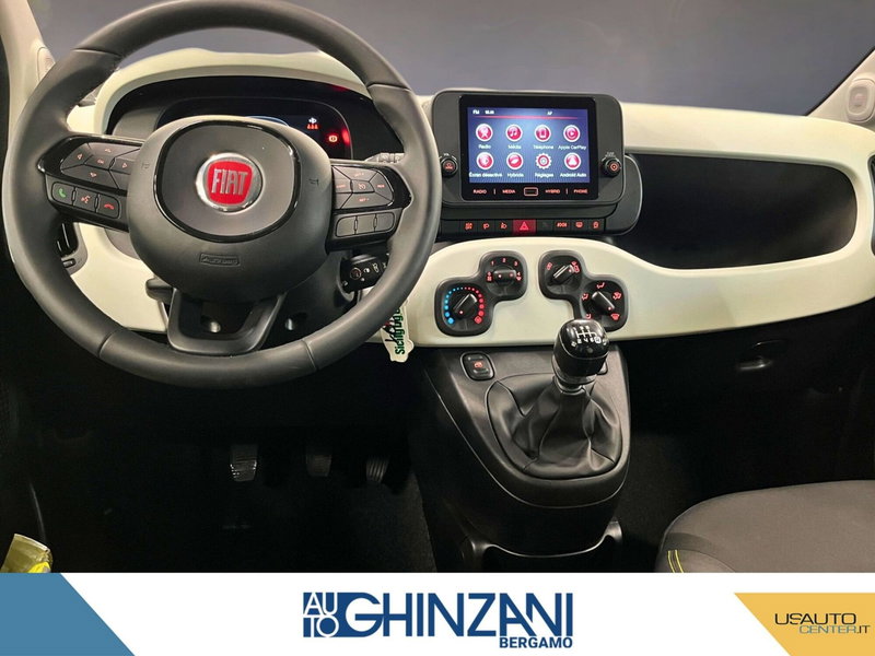 Fiat Panda Cross usata a Bergamo (8)