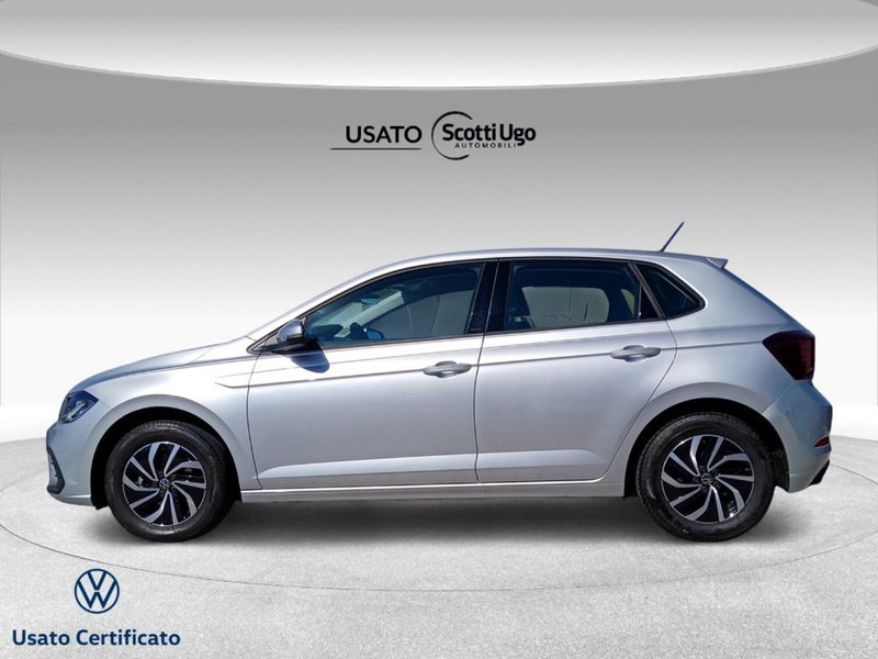 Volkswagen Polo usata a Livorno (3)