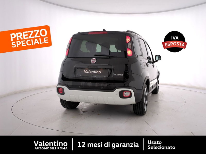 Fiat Panda Cross usata a Roma (3)