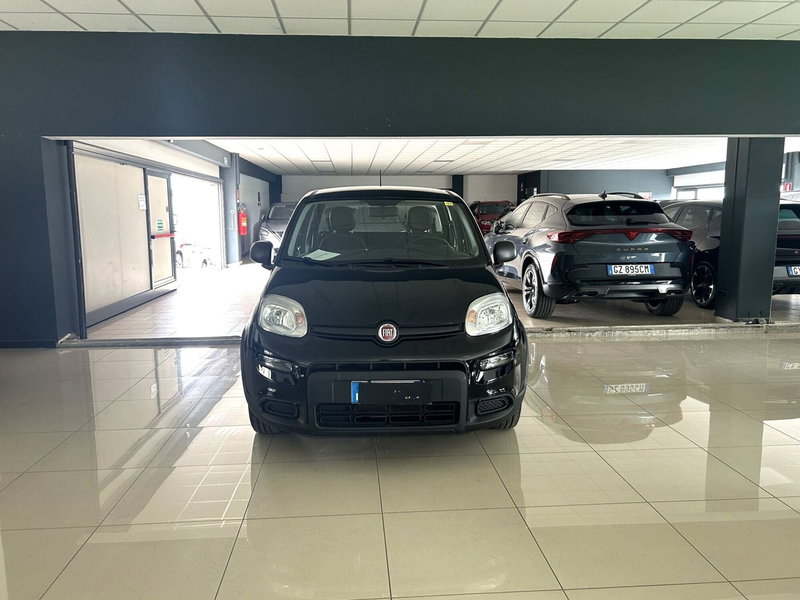 Fiat Panda Cross usata a Ferrara (2)