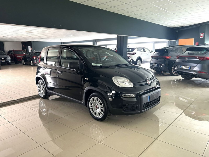 Fiat Panda Cross usata a Ferrara (3)