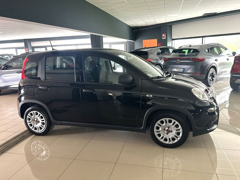 Fiat Panda Cross usata a Ferrara (4)
