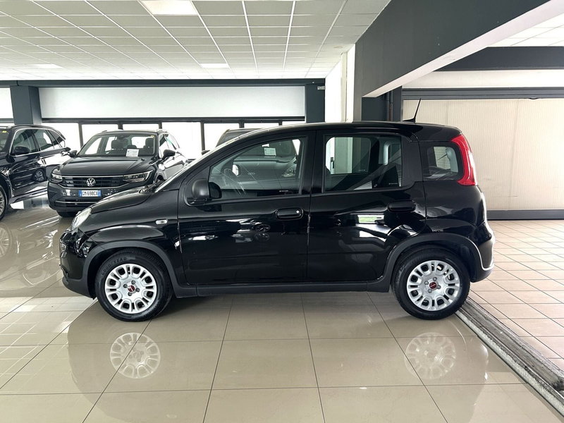 Fiat Panda Cross usata a Ferrara (6)