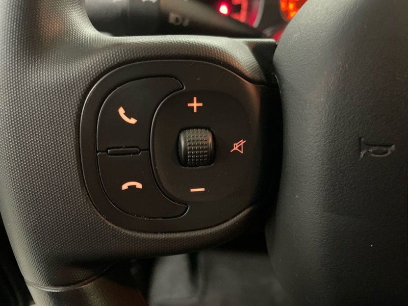 Fiat Panda Cross usata a Macerata (19)