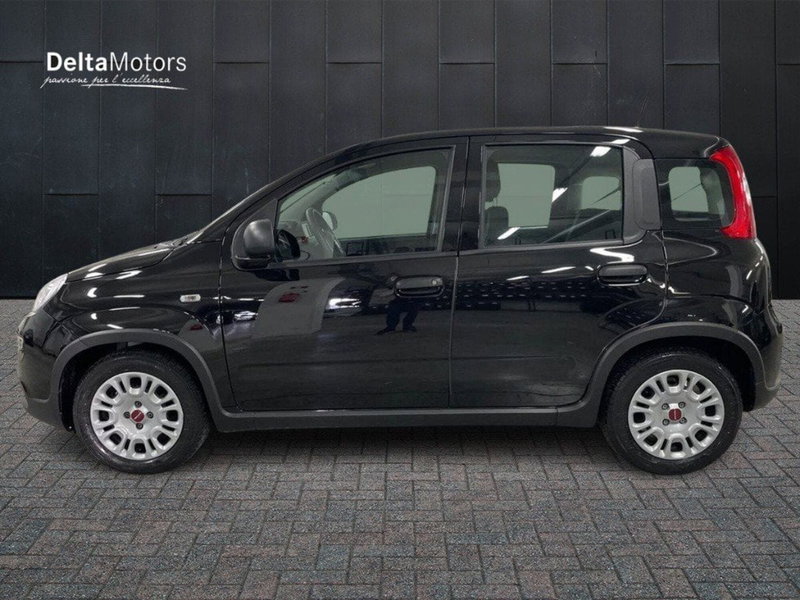 Fiat Panda Cross usata a Macerata (2)