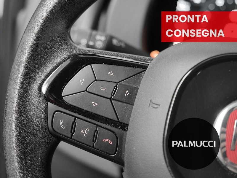 Fiat Panda Cross usata a Prato (11)