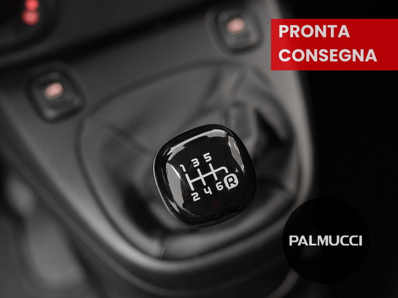 Fiat Panda Cross usata a Prato (14)