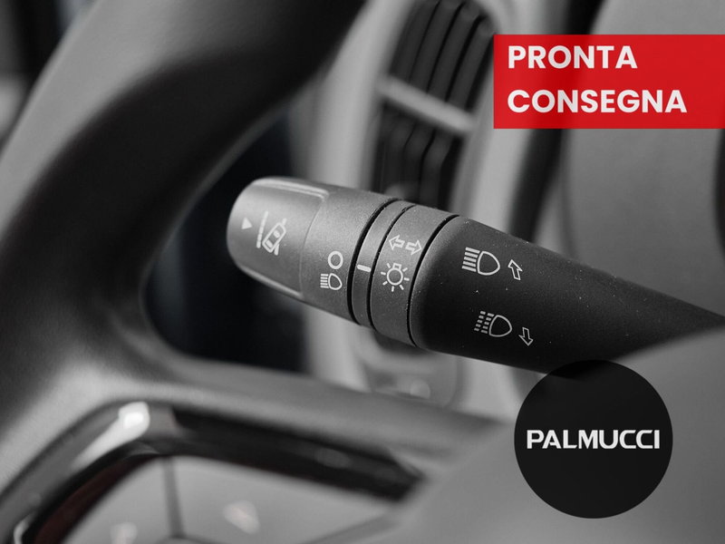 Fiat Panda Cross usata a Prato (15)