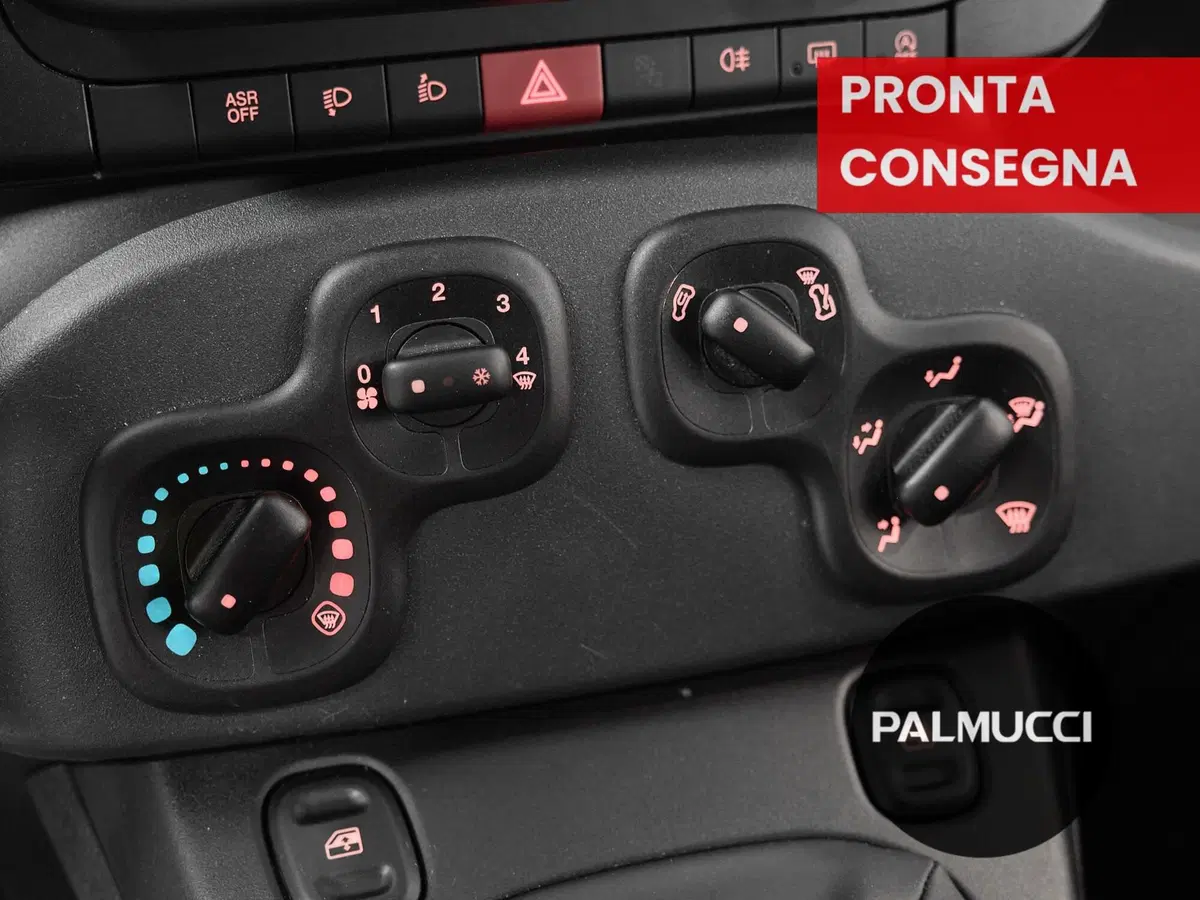 Fiat Panda Cross usata a Prato (16)