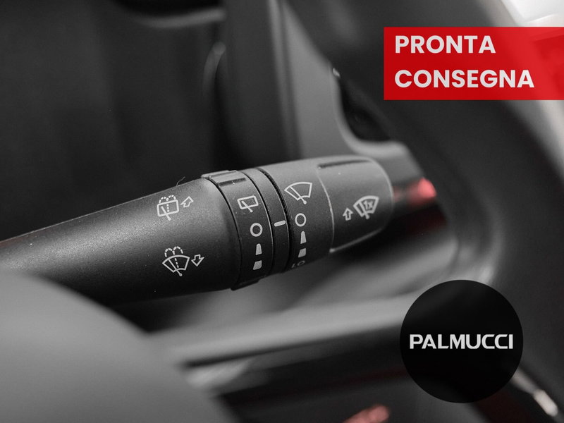 Fiat Panda Cross usata a Prato (18)