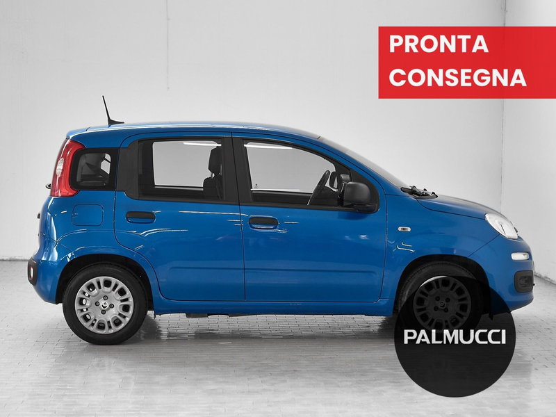 Fiat Panda Cross usata a Prato (4)