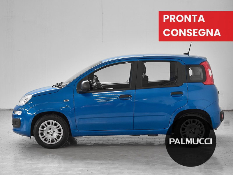 Fiat Panda Cross usata a Prato (5)