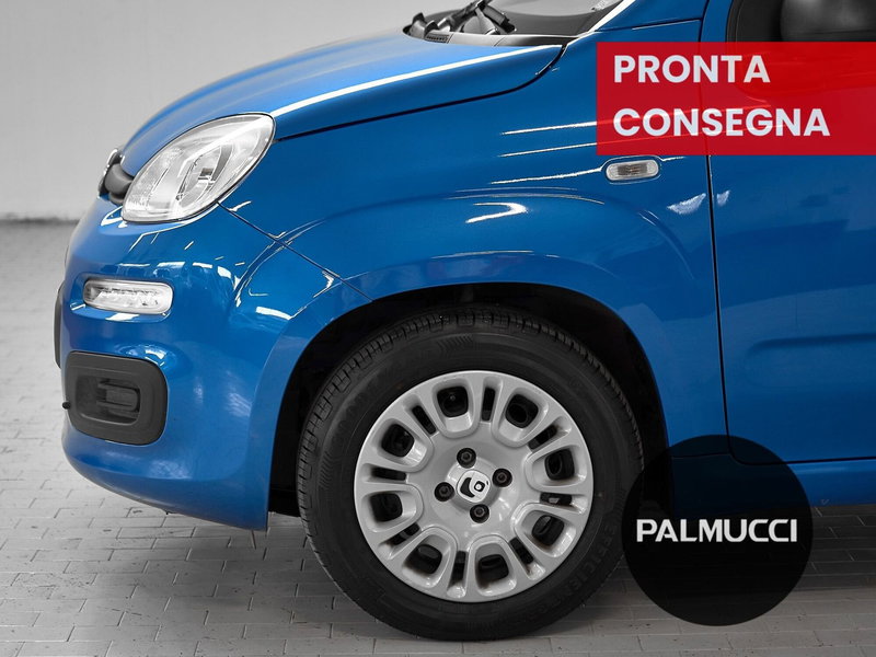 Fiat Panda Cross usata a Prato (6)