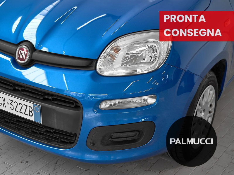 Fiat Panda Cross usata a Prato (8)