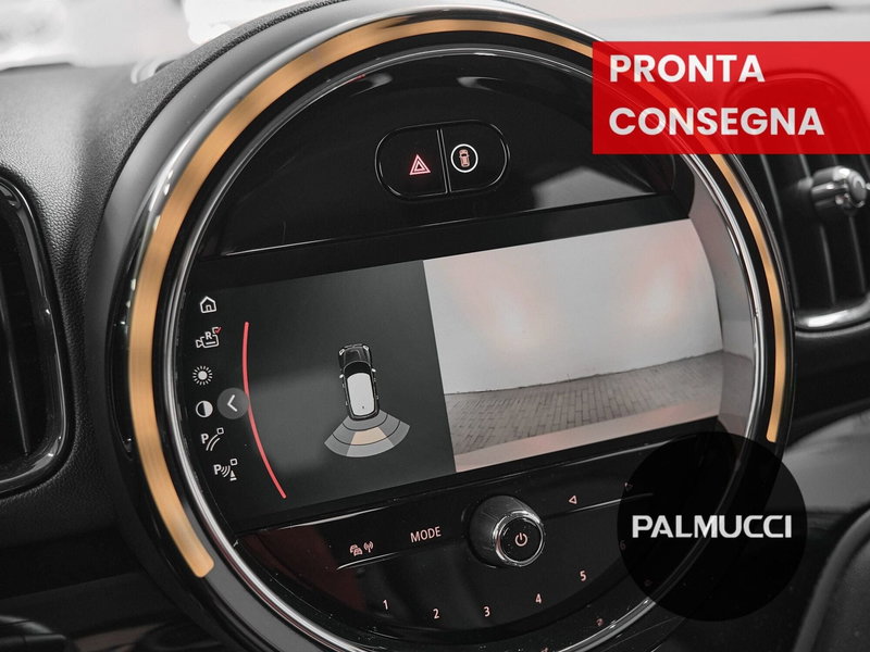 MINI Mini Countryman usata a Prato (19)