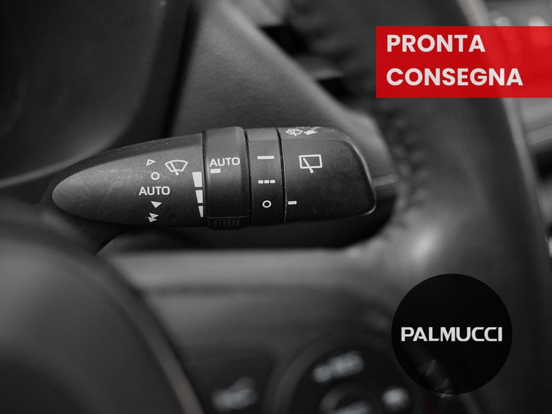 Toyota Rav4 usata a Prato (18)