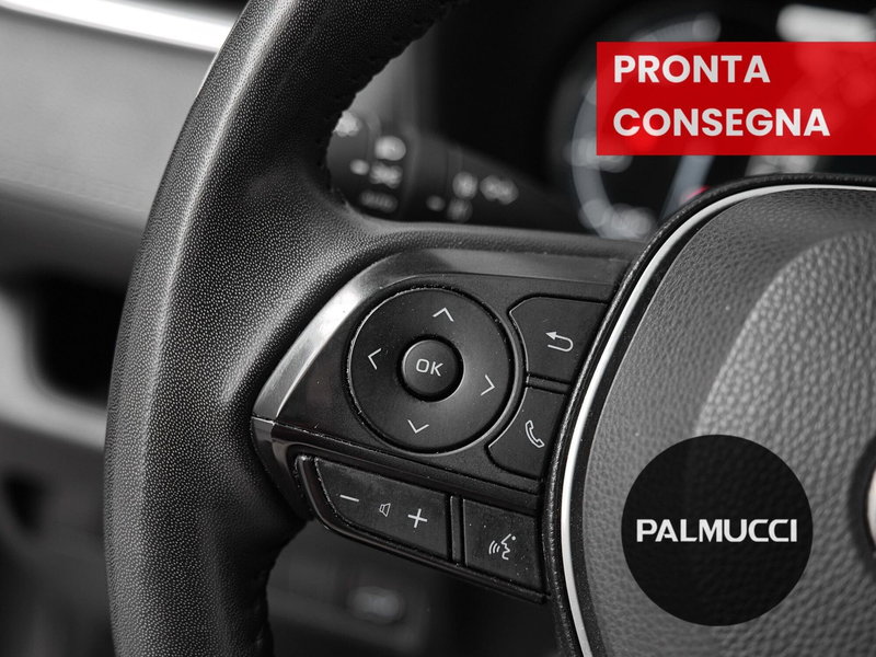 Toyota Rav4 usata a Prato (20)