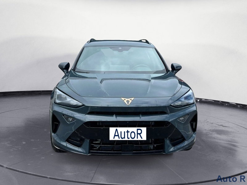 Cupra Formentor usata a Potenza (2)