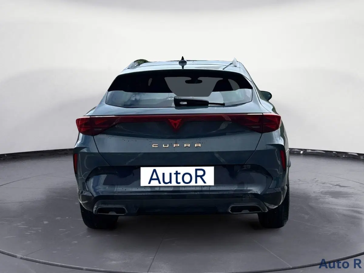 Cupra Formentor usata a Potenza (6)