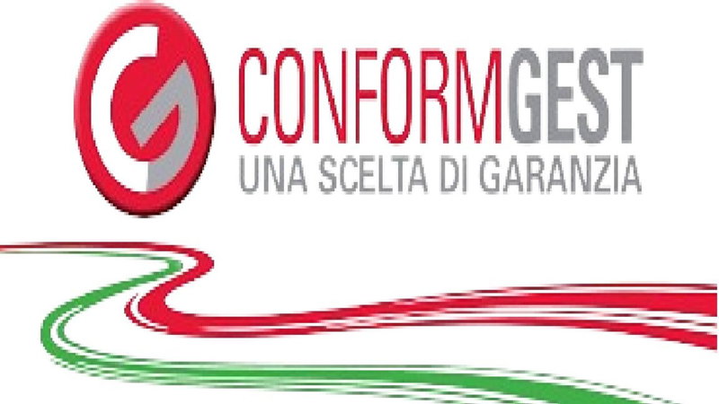 Toyota Yaris usata a Firenze (17)