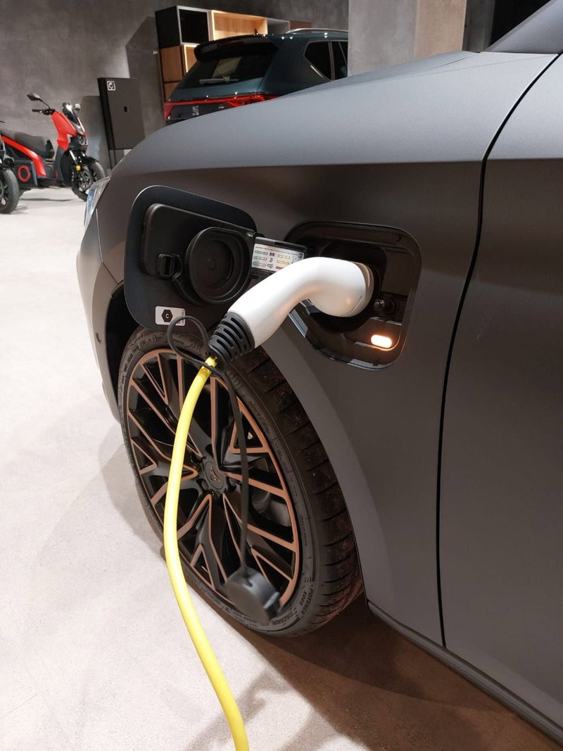 Cupra Leon Station Wagon usata a Frosinone (13)